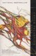 Rant - The Oral Biography of Buster Casey (Paperback): Chuck Palahniuk