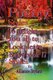 Poetry Styles Book 17 (Paperback): Alliance Stylists
