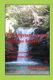The Mystery of the Crimson Bandit (Paperback): Tom Gnagey