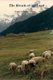 The Breath of the Land (Paperback): Bradley Thomas