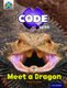 Project X CODE Extra: Light Blue Book Band, Oxford Level 4: Dragon Quest: Meet a Dragon (Paperback): Claire Llewellyn