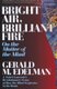 Bright Air, Brilliant Fire - On The Matter Of The Mind (Paperback, Revised): Gerald Edelman