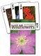 Wildflowers of the Northeast Playing Cards (Cards): Jaret Daniels