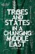 Tribes and States in a Changing Middle East (Hardcover, UK ed.): Uzi Rabi