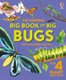 Big Book of Big Bugs - & some little ones too?  with 4 Giant Fold-Outs (4 - 6 years) (Hardcover): Fabiano Fiorin