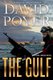 Gulf (Paperback): David Poyer