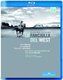 Various Artists - La Fanciulla Del West: Royal Swedish Opera House (Morandi) (Blu-ray disc): Pier Giorgio Morandi, Giacomo...