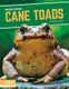 Invasive Species: Cane Toads (Hardcover): Martha London