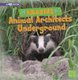 Amazing Animal Architects Underground: a 4D Book (Amazing Animal Architects) (Paperback): Rebecca Rissman