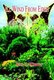 Ill Wind from Eden (Hardcover): Ron C. Kimrey