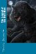 The Legend of the Wolf Man (Paperback): Tracy L DeLong