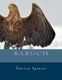 Baruch (Paperback): Patricia M. Spencer