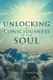Unlocking the Consciousness of Your Soul (Paperback): Terry L. Newbegin