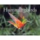 Hummingbirds 2018 (Paperback, 2nd edition): Ronald Orenstein