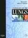 Pathology of the Lungs (Hardcover, 2nd Revised edition): Bryan Corrin, Andrew G. Nicholson