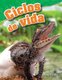 Ciclos de vida (Life Cycles) (Spanish, Paperback): Wendy Conklin