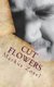 Cut Flowers - Short Stories (Paperback): Markus Zosel