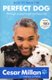 How to Raise the Perfect Dog (Paperback): Cesar Millan