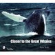 Cler to the Great Whales (Paperback): Peter Trull