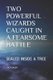 Two Powerful Wizards Caught in a Fearsome Battle - Sealed Inside a Tree (Paperback): D Mae Ward, The Flower
