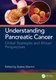 Understanding Pancreatic Cancer - Global Strategies and African Perspectives (Hardcover): Zodwa Dlamini