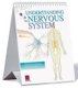 Understanding the Nervous System Flip Chart (Spiral bound): Scientific Publishing