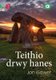 Cyfres Amdani: Teithio drwy Hanes (Welsh, Paperback): Jon Gower