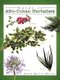 Guide to Afro-Cuban Herbalism (Paperback): Dalia Quiros-Moran