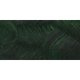 Williamsburg Oil Paint (37ml)(Sap Green): 