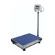 Platform Scale (150kg): 
