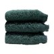 Bunty Plush Terry Fringe Guest Towel (Hunter Green)(Pack of 3)(380gsm): 
