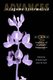 Advances in Legume Systematics Part 8 - Legumes of Economic Importance (Paperback): B. Pickersgill, J.M. Lock