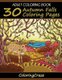 Adult Coloring Book - 30 Autumn Falls Coloring Pages, Coloring Books For Adults Series By ColoringCraze (Paperback):...