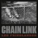 Lee Friedlander: Chain Link (Hardcover): Lee Friedlander