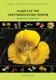 Plants of the San Francisco Bay Region - Mendocino to Monterey (Paperback, 3rd edition): Linda H Beidleman, Eugene N Kozloff