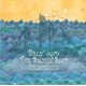 Billy and the Secret Ship (Paperback): Mardee Kravit