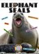 Elephant Seals (Hardcover): Ashley Gish