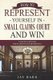 How to Represent Yourself in Small Claims Court and Win - A Step by Step Guide for Plaintiffs and Defendants (Paperback): Jay...