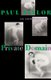 Private Domain - An Autobiography (Paperback, First): Paul Taylor