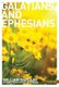 The Letters to the Galatians & Ephesians (Paperback, 3rd ed.): William Barclay