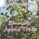 Emma's Apple Trees (Paperback): Kaarina Brooks