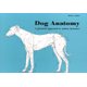 Dog Anatomy - A Pictorial Approach to Canine Structure (Paperback, illustrated edition): Peter Goody