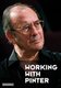 Working With Pinter (DVD): Harold Pinter, Caroline Ross-Pirie, Damian Eggs, Ian Hider