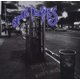 Spin Doctors - Pocket Full Of Kryptonite (CD): Spin Doctors