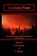 Accidental Power - How Non-State Actors Hijacked Legitimacy and Re-Shaped the International System (Paperback): Candyce M...