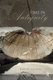 Time in Antiquity (Paperback, New edition): Robert Hannah