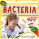 Bacteria (Hardcover): Holly Duhig