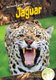 Jaguar (Hardcover): Julie Murray