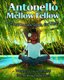 Antonello Mellow Fellow - A Breathwork Book for Kids (Paperback): Paula Betancur