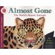 Almost Gone - The World's Rarest Animals (Paperback): Steve Jenkins